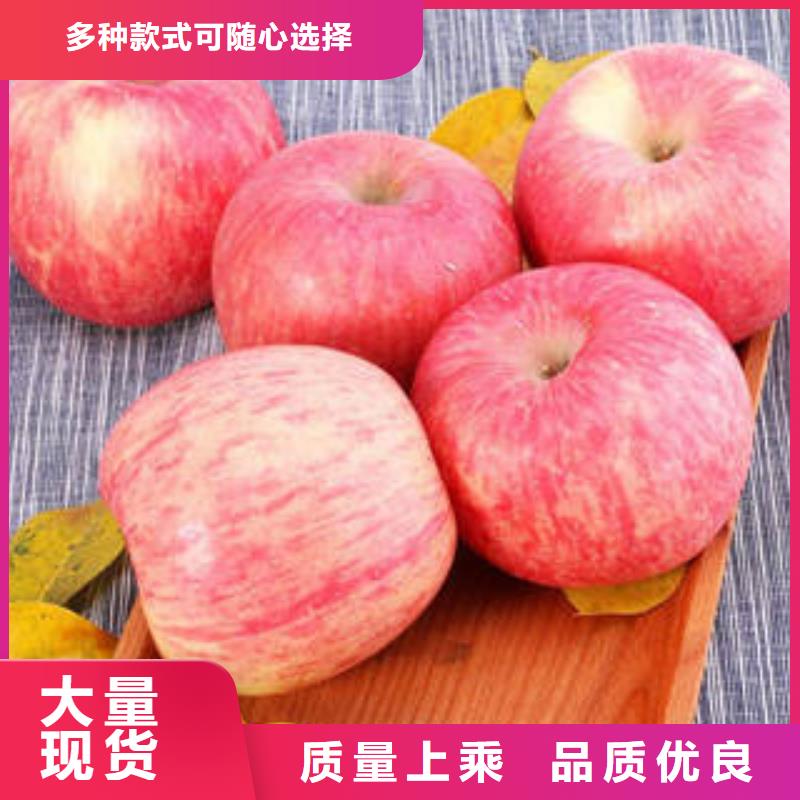 【红富士苹果】苹果批发源头厂家供应