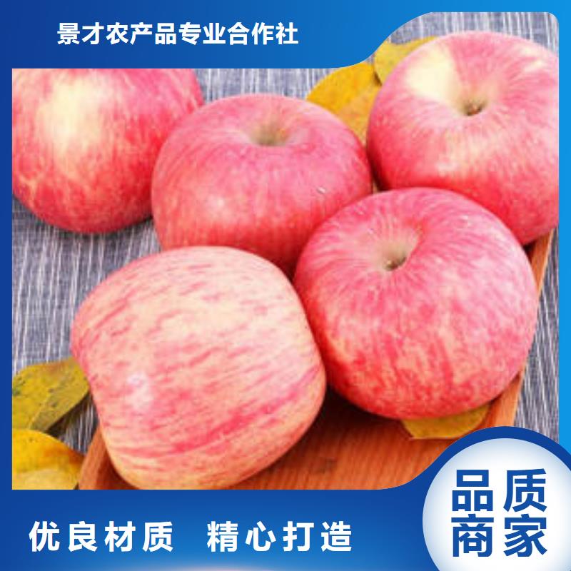 红富士苹果苹果种植基地优选厂商
