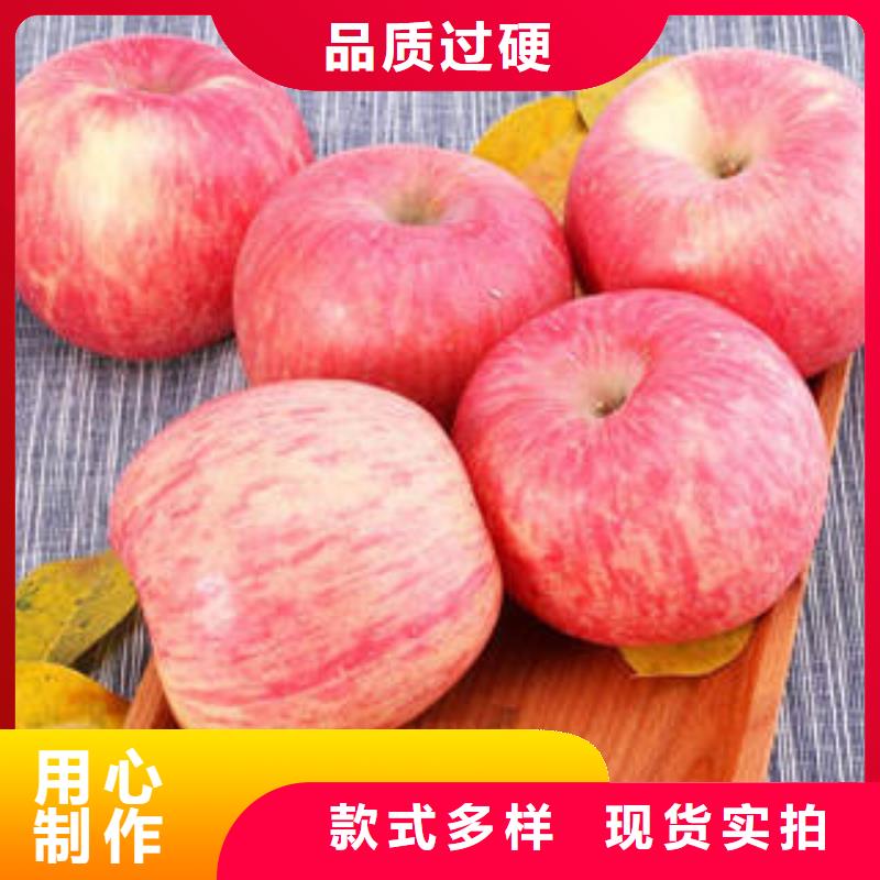 红富士苹果精工细作品质优良
