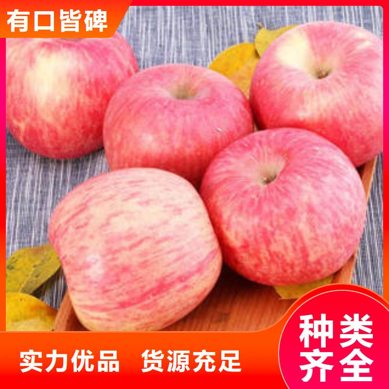 红富士苹果苹果种植基地实力大厂家