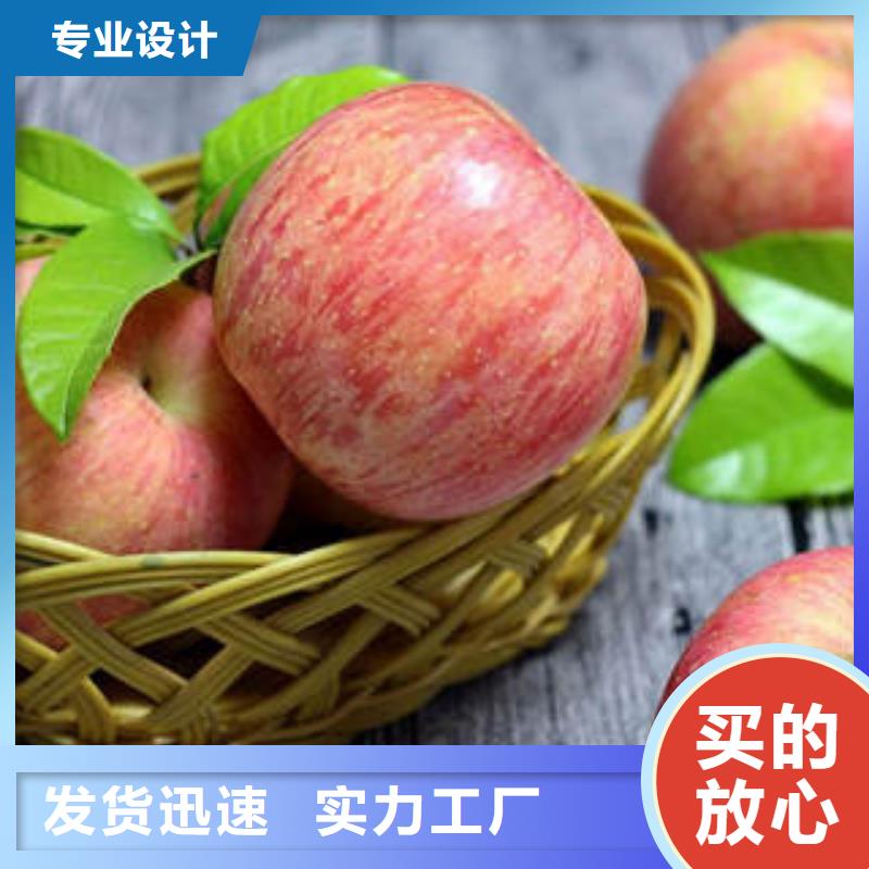 红富士苹果苹果源头工厂量大优惠