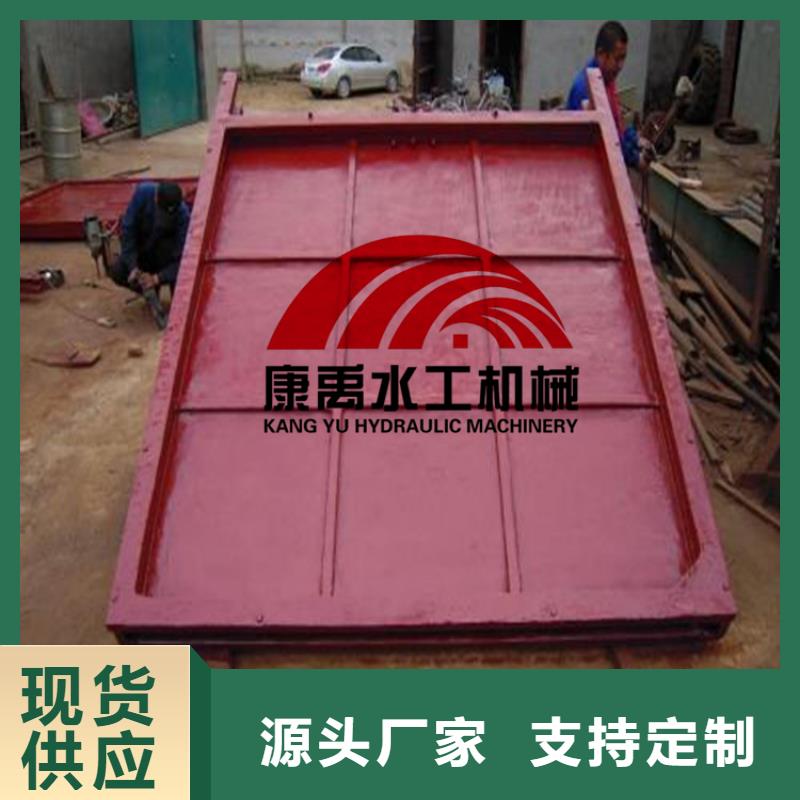 闸门实力大厂家