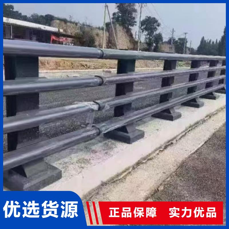 政护栏-精选厂家