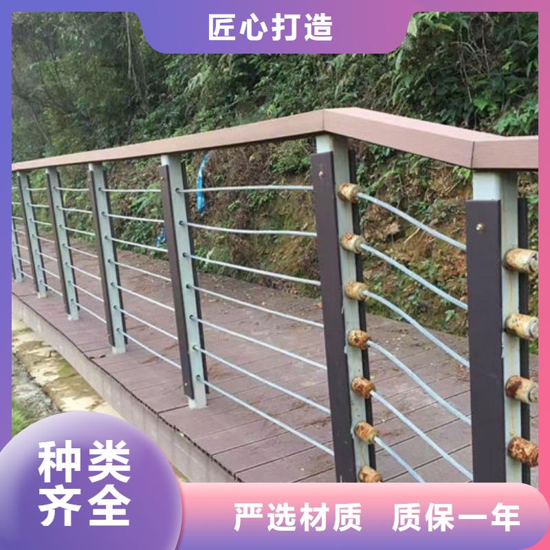 供应批发不锈钢道路护栏-口碑好