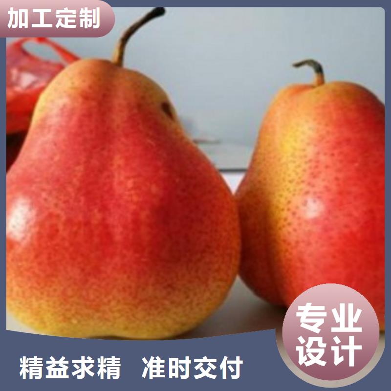 梨树苗,核桃苗欢迎新老客户垂询