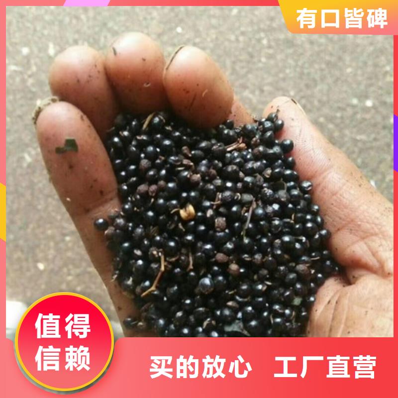 花椒苗葡萄苗精选优质材料