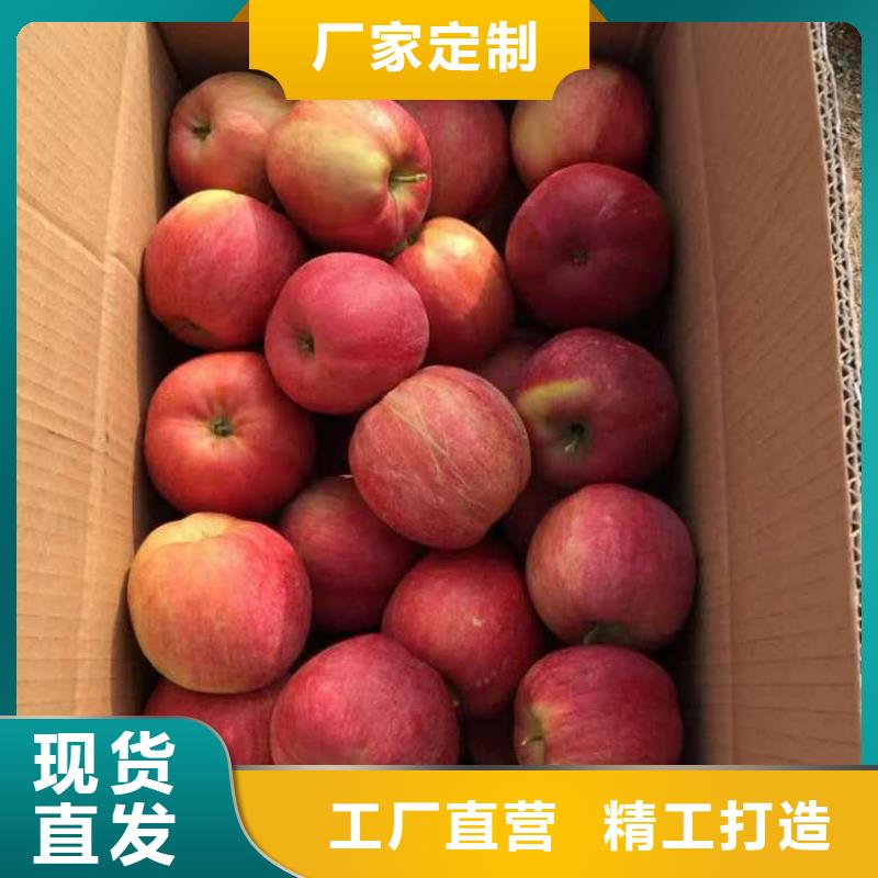 苹果苗-梨树苗不断创新