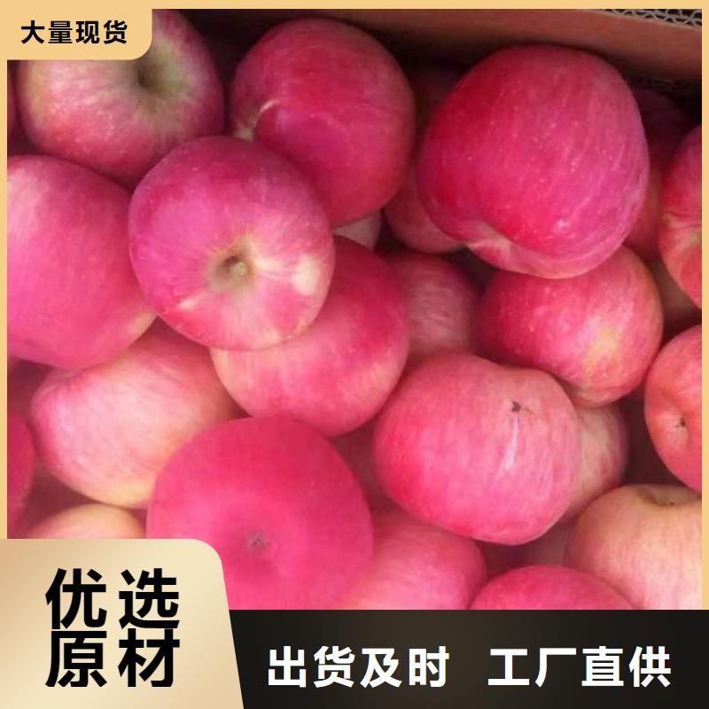 苹果苗梨树苗工艺精细质保长久