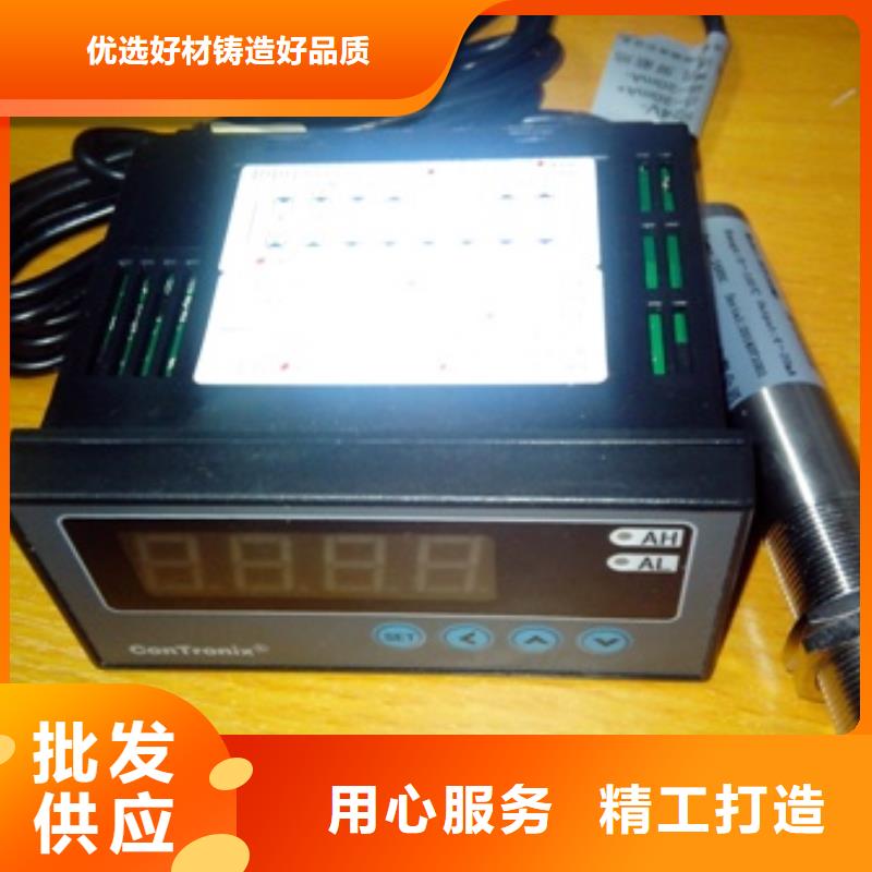 IRTP300L红外探头价格实在