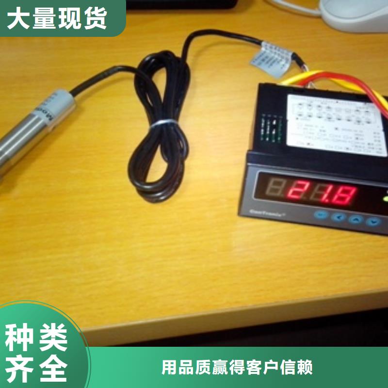 IRTP300L红外探头实力优品