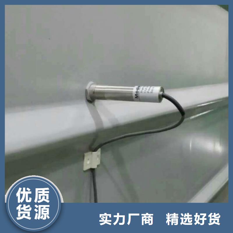 IRTP300L-【金属转子流量计】价格低