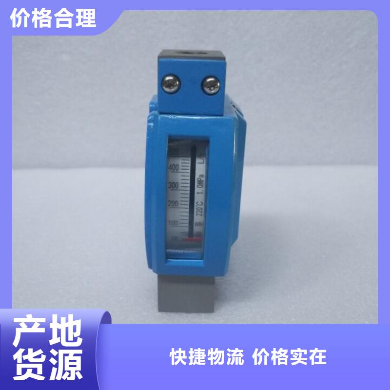 微小流量计吹扫装置当地货源