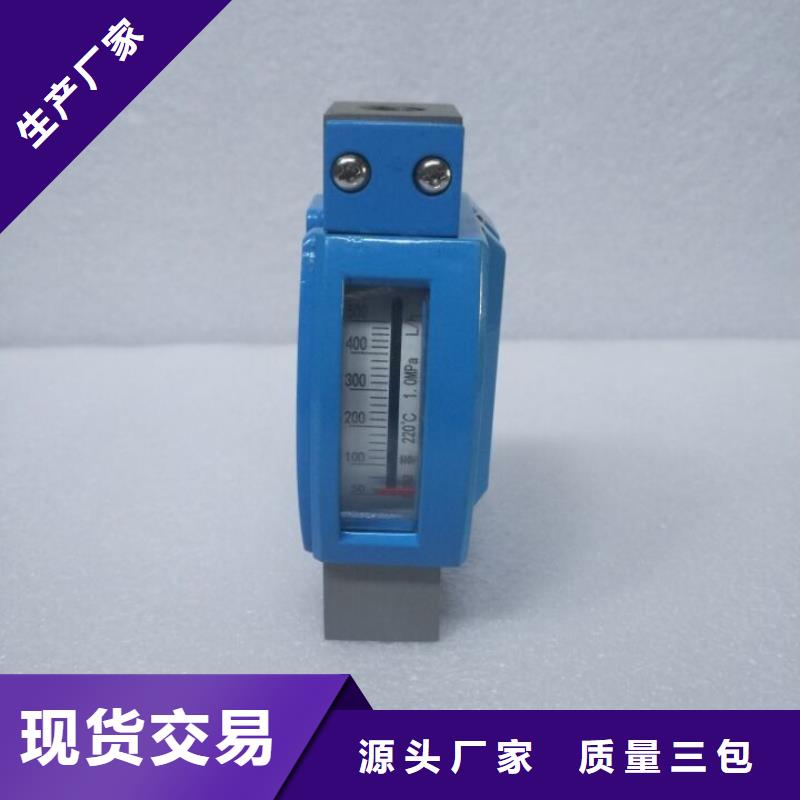 微小流量计吹扫装置诚信厂家