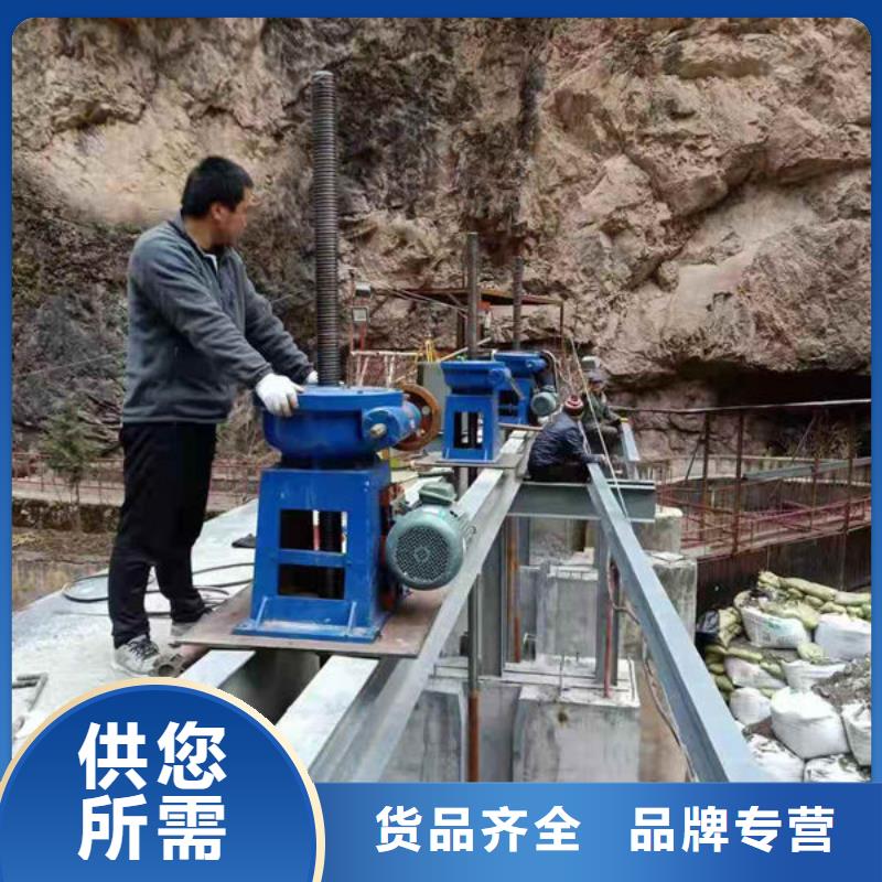 螺杆式启闭机-摇摆式启闭机用心做品质