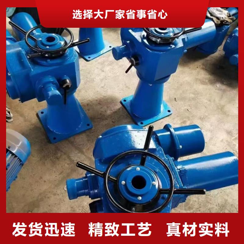 螺杆式启闭机双吊点启闭机供您所需