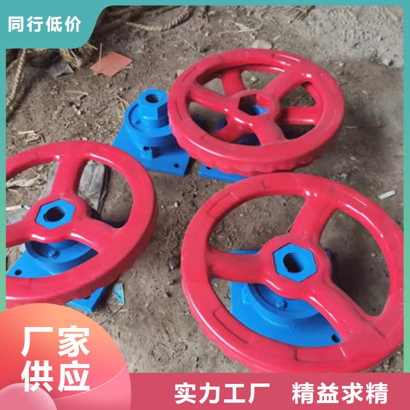 螺杆式启闭机双吊点启闭机供您所需