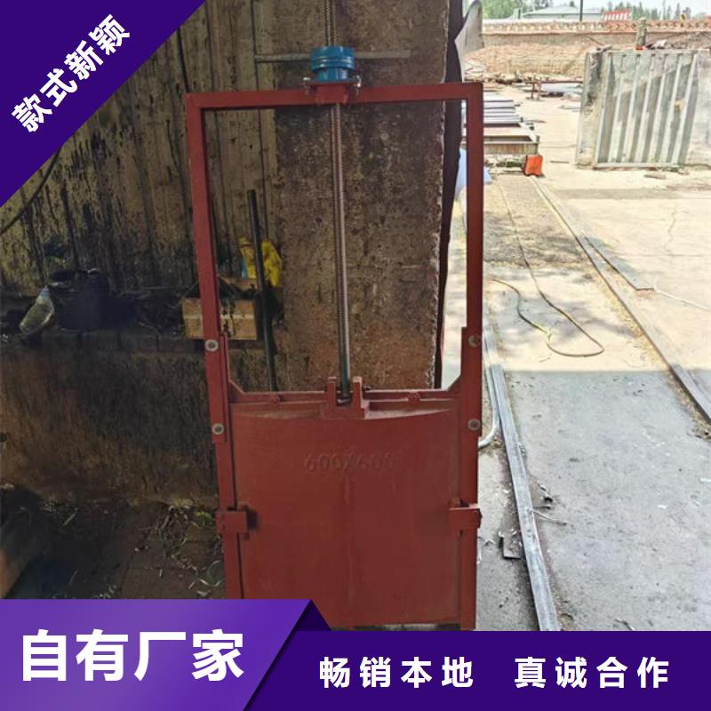 铸铁闸门扇形闸门N年专注