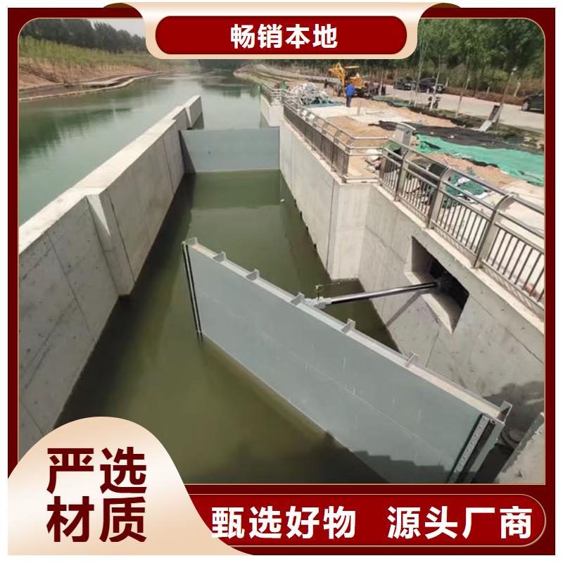 泵站上卧式闸门本地厂家