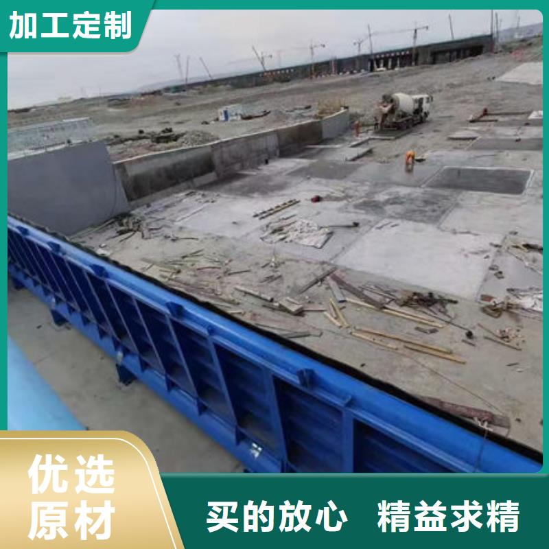钢坝闸门合页钢坝高标准高品质