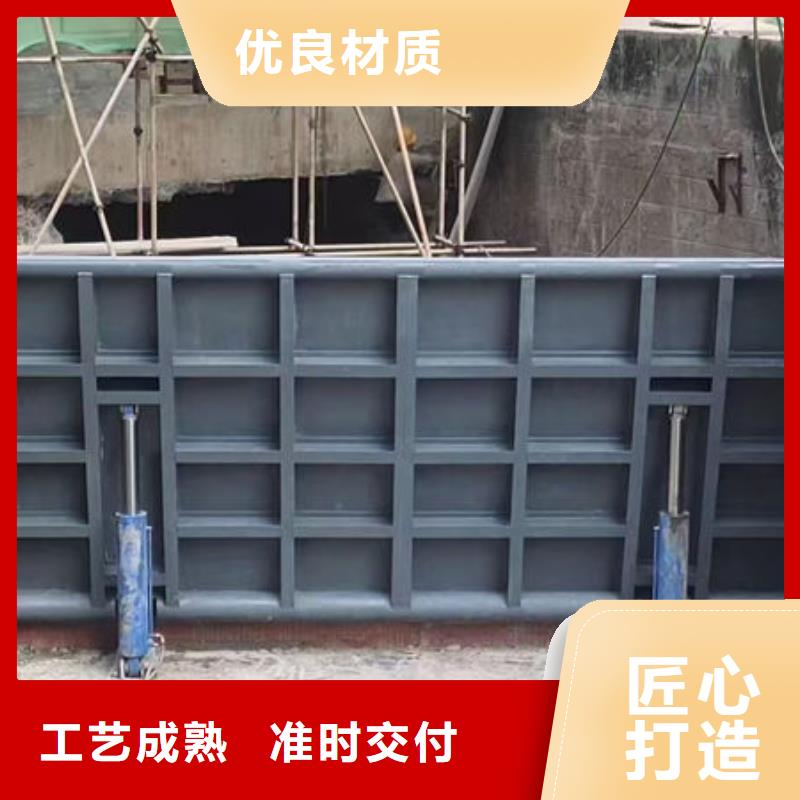 钢坝闸门翻板闸门严选用料