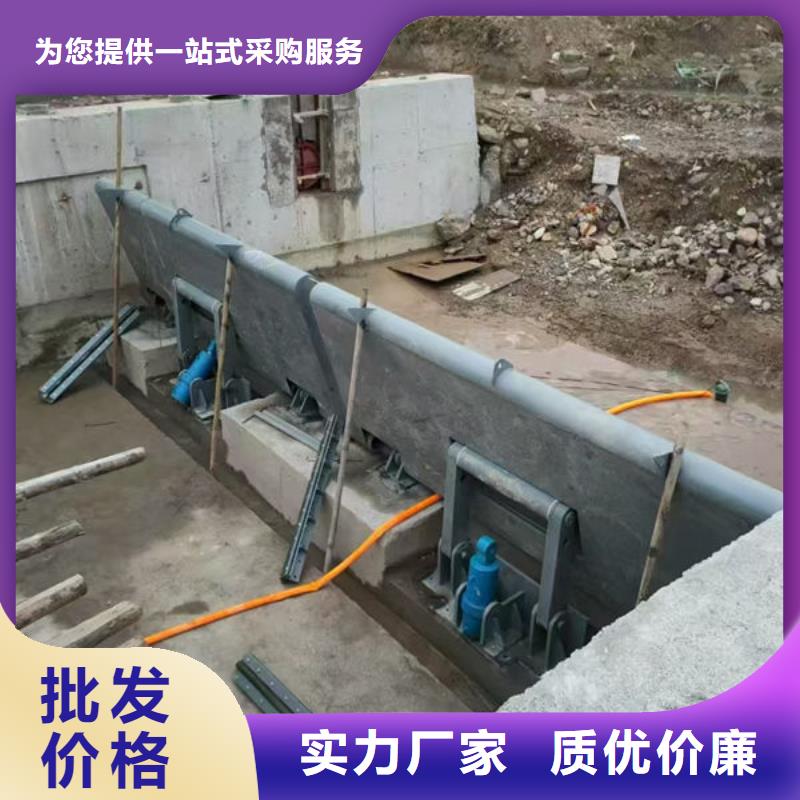 钢坝闸门合页钢坝高标准高品质