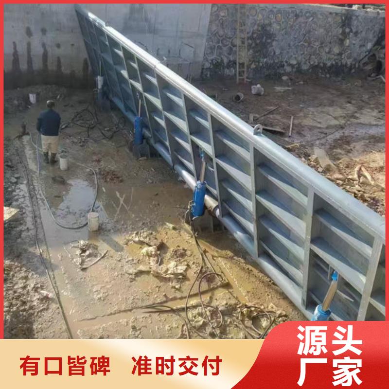 钢坝闸门合页钢坝高标准高品质