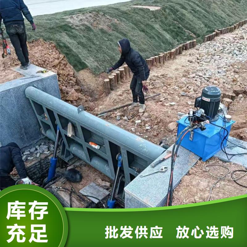 钢坝闸门翻板闸门严选用料