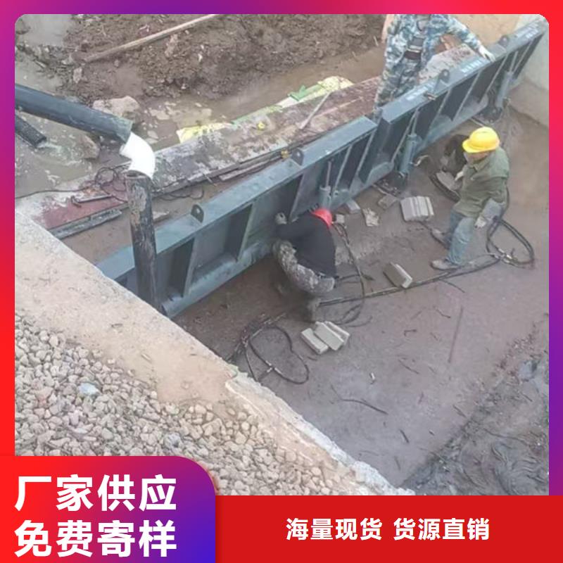钢坝闸门翻板闸门严选用料