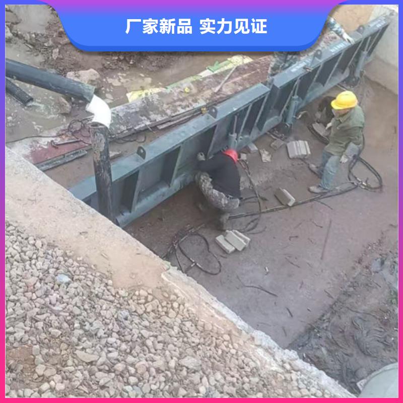 钢坝闸门合页钢坝高标准高品质