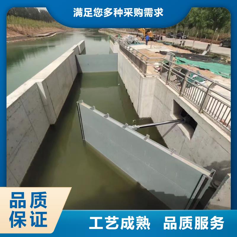 钢坝闸门翻板闸门严选用料