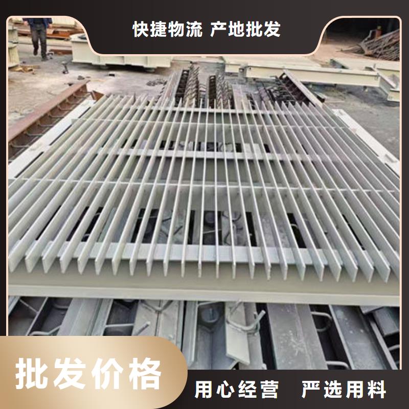 清污机水电站清污机畅销当地