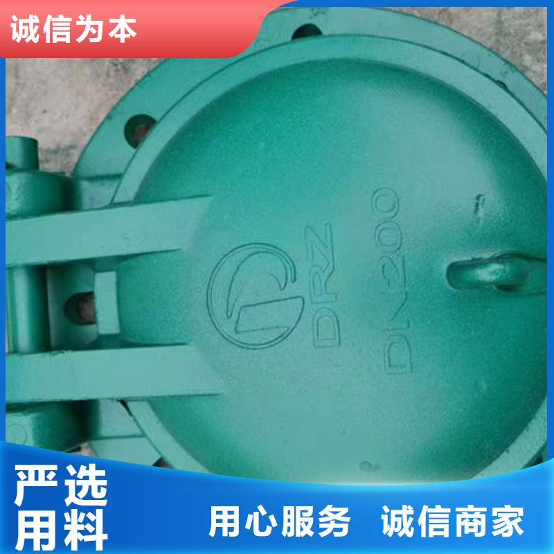 拍门_不锈钢拍门设计制造销售服务一体