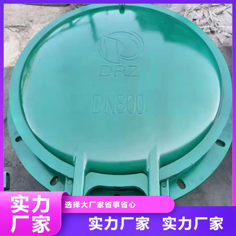 拍门铸铁拍门源头直供