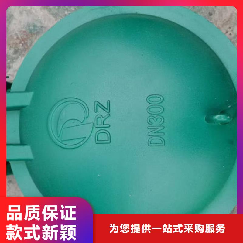拍门铸铁拍门源头直供