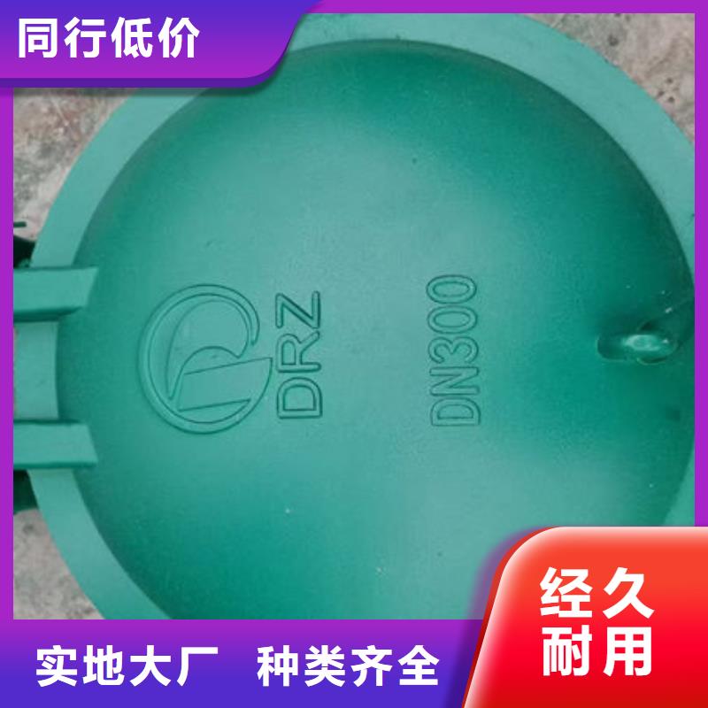 拍门不锈钢拍门好货采购