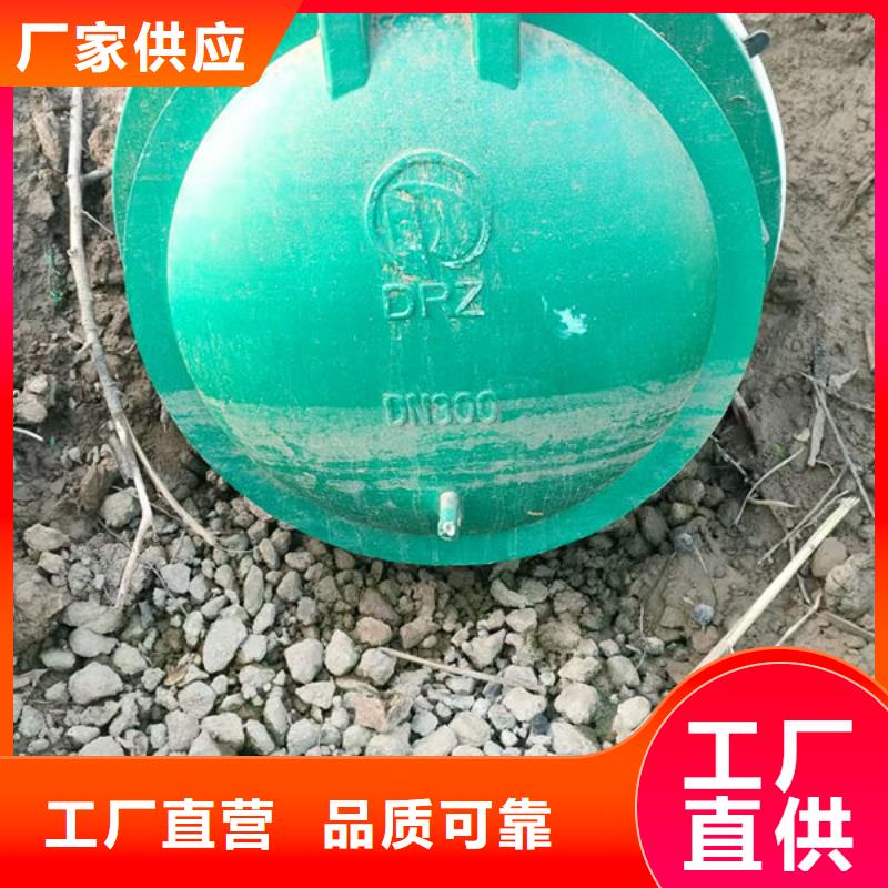 拍门防倒灌拍门客户满意度高