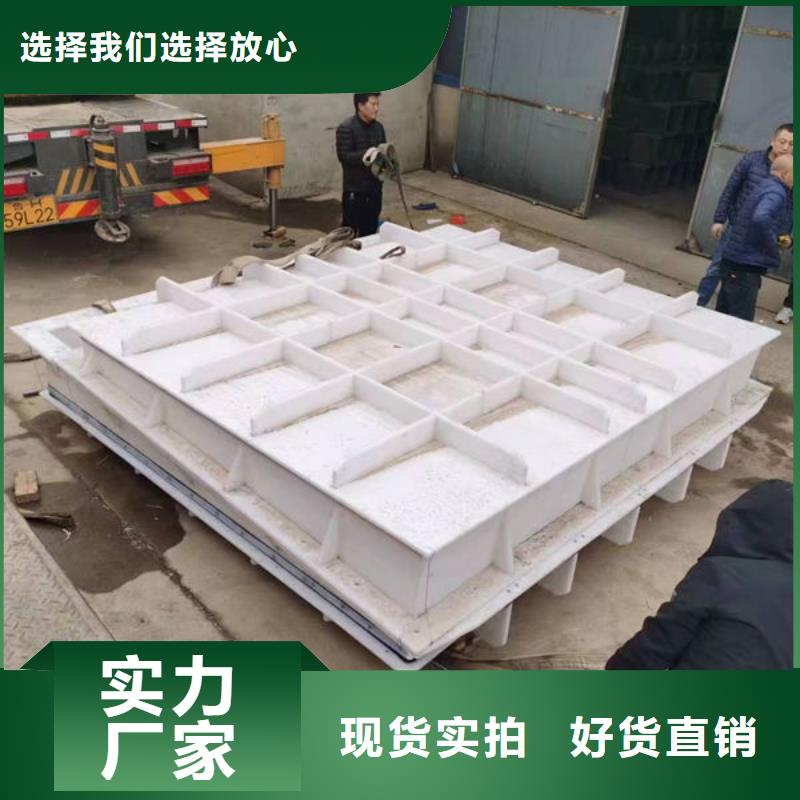 拍门球墨铸铁拍门质量看得见
