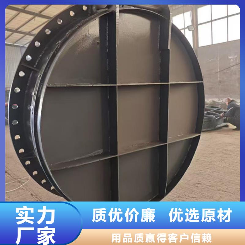 拍门圆拍门多种规格可选