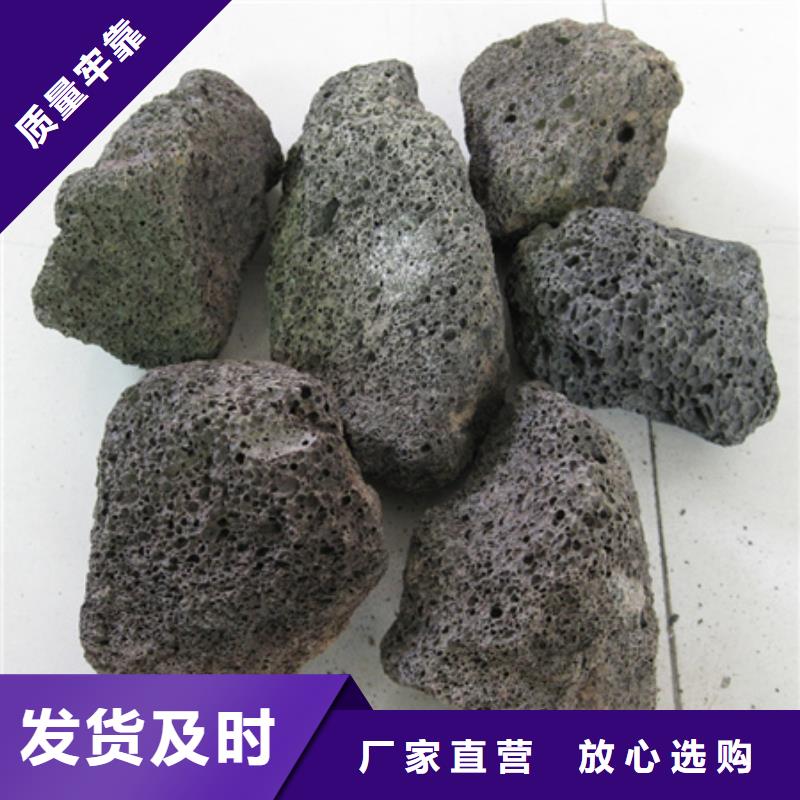 陶粒-沸石质优价保