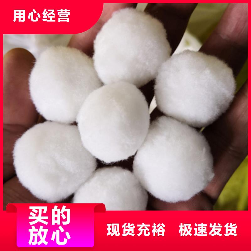 纤维球沸石高性价比