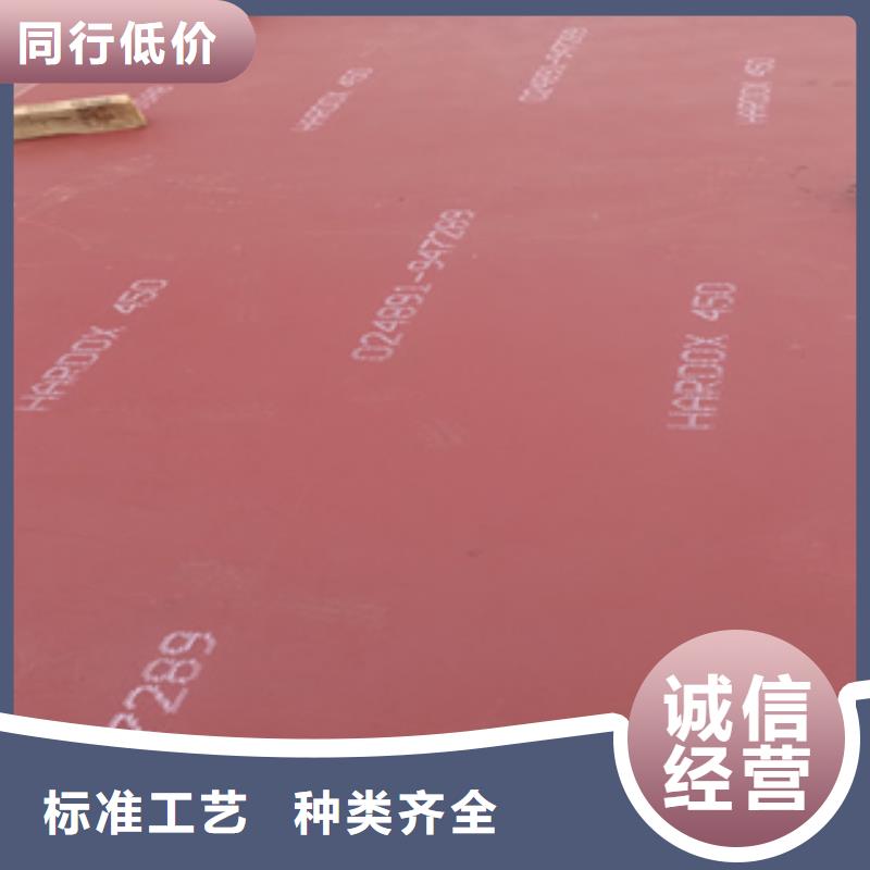 进口耐磨板哈道斯耐磨板颜色尺寸款式定制