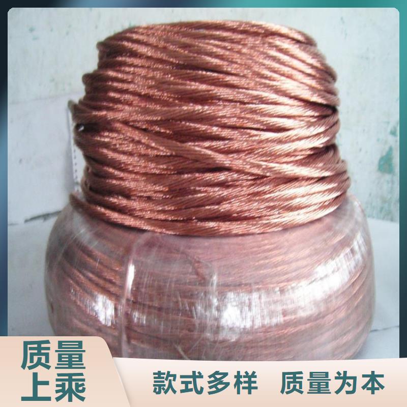 铜绞线紫铜带源头工厂