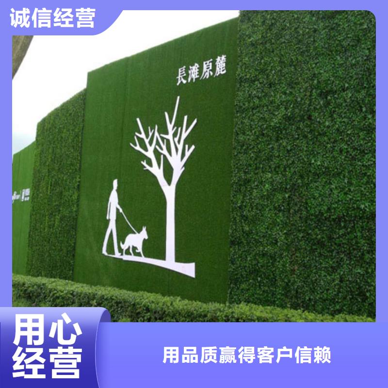 围挡草坪-人造草坪围挡准时交付