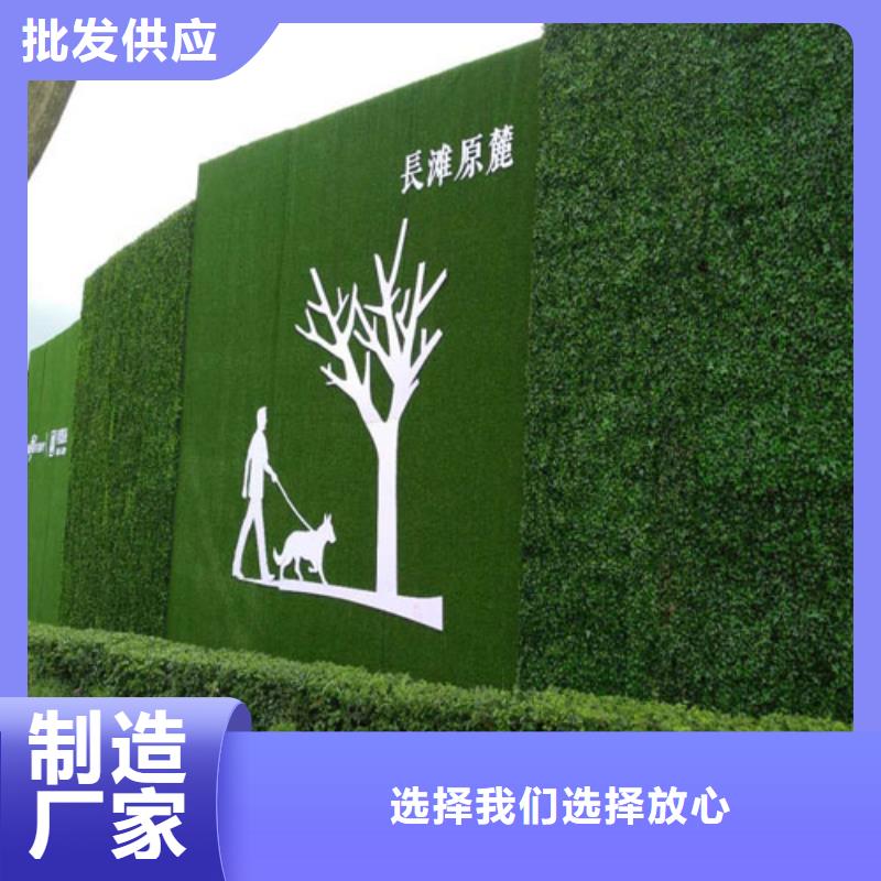 草坪围挡,【围挡草坪厂家】精心选材