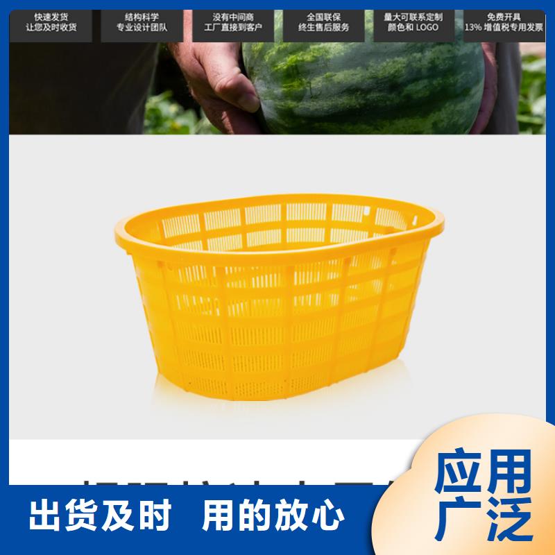 塑料筐塑料圆桶大量现货