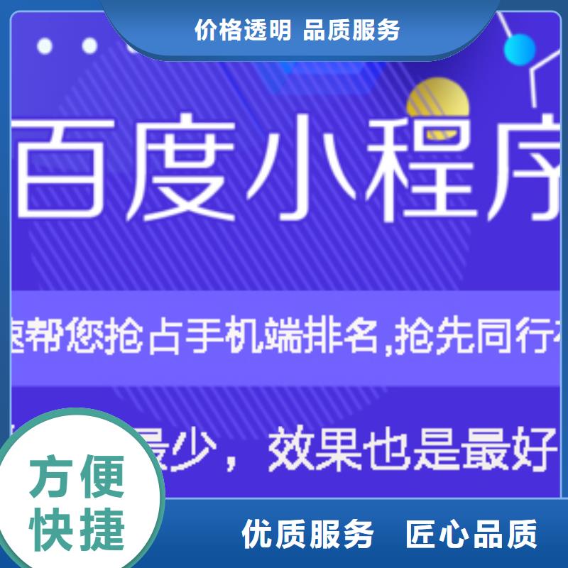 手机百度网络公司品质保证