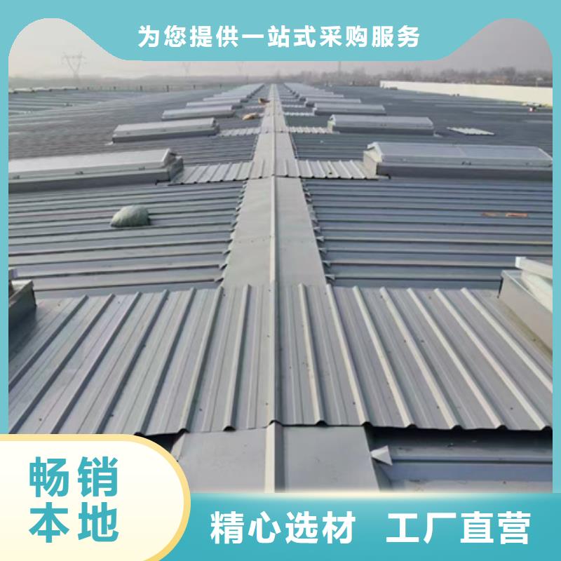 批发展览馆通风气楼_实力厂家