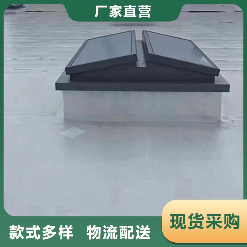 RDPC-IV-GD-W-Y-4030圆拱固定型采光窗诚信经营