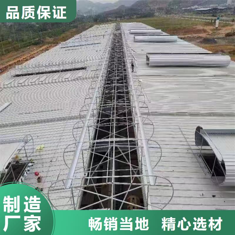 TC5A通风气楼无中间商