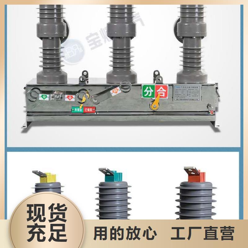 【真空断路器】FKN12-12/630A免费安装